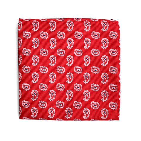 Pañuelos de Bolsillo y Accesorios para Hombre en Colombia